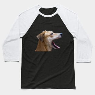 dog Baseball T-Shirt